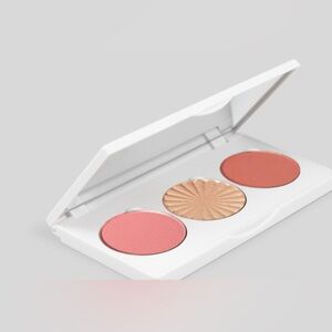 DESIGNED BY OFRA!!! NEW MIDI PALETTE - SITTING PRETTY BLUSHES/BRONZER
